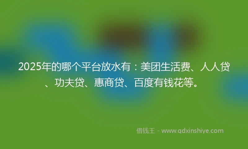 2025年的哪个平台放水有：美团生活费、人人贷、功夫贷、惠商贷、百度有钱花等。