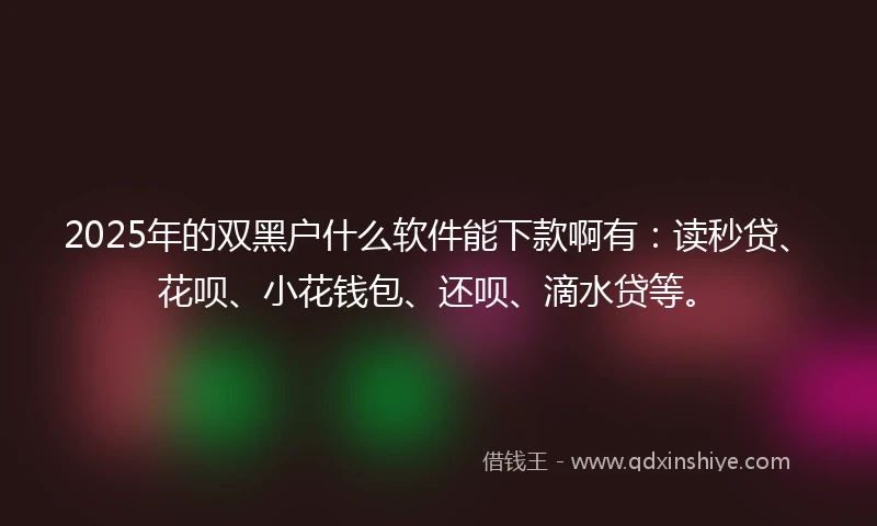 2025年的双黑户什么软件能下款啊有：读秒贷、花呗、小花钱包、还呗、滴水贷等。