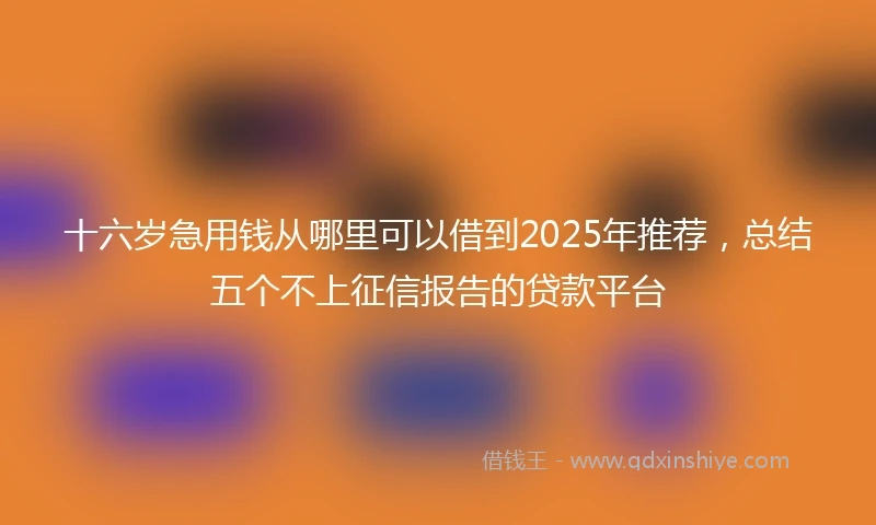 十六岁急用钱从哪里可以借到2025年推荐，总结五个不上征信报告的贷款平台