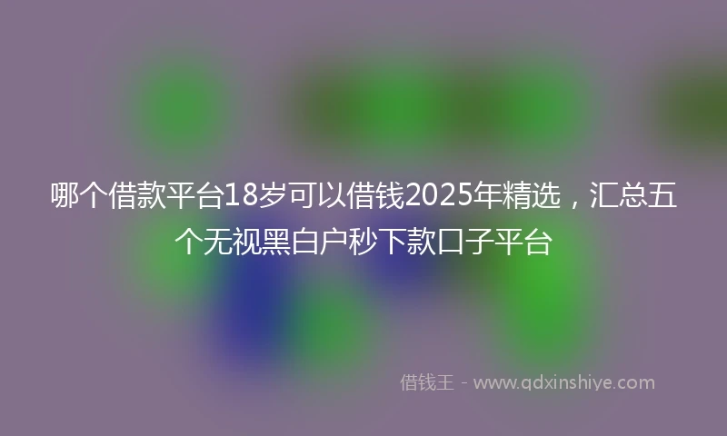 哪个借款平台18岁可以借钱2025年精选，汇总五个无视黑白户秒下款口子平台