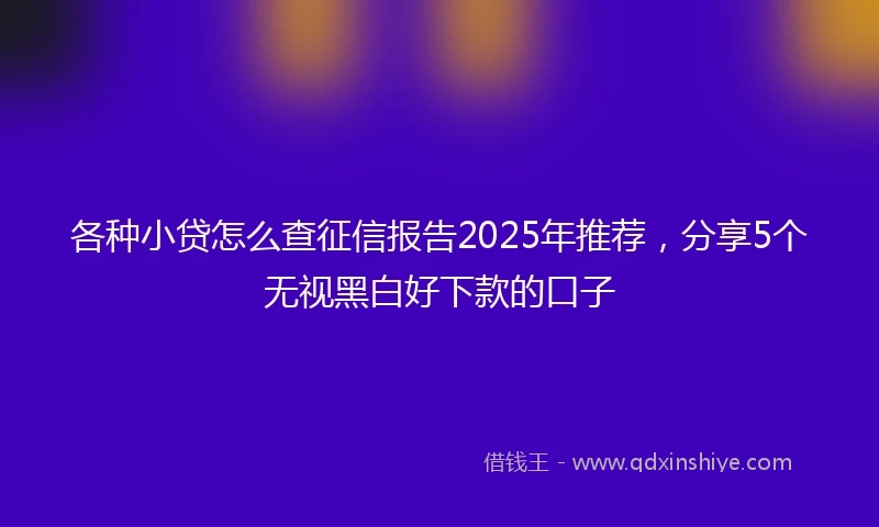 各种小贷怎么查征信报告2025年推荐，分享5个无视黑白好下款的口子