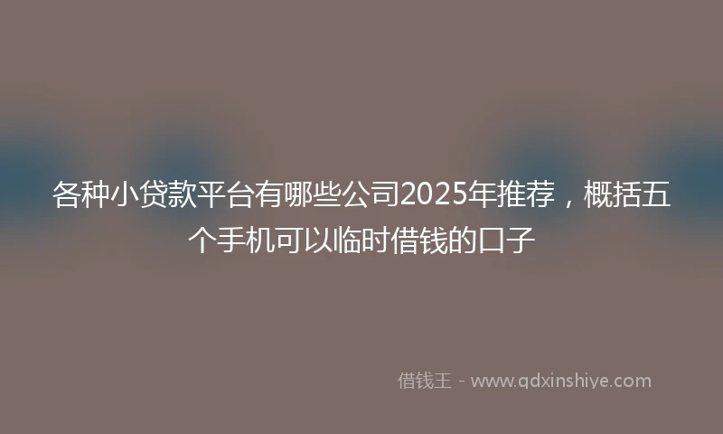 各种小贷款平台有哪些公司2025年推荐，概括五个手机可以临时借钱的口子