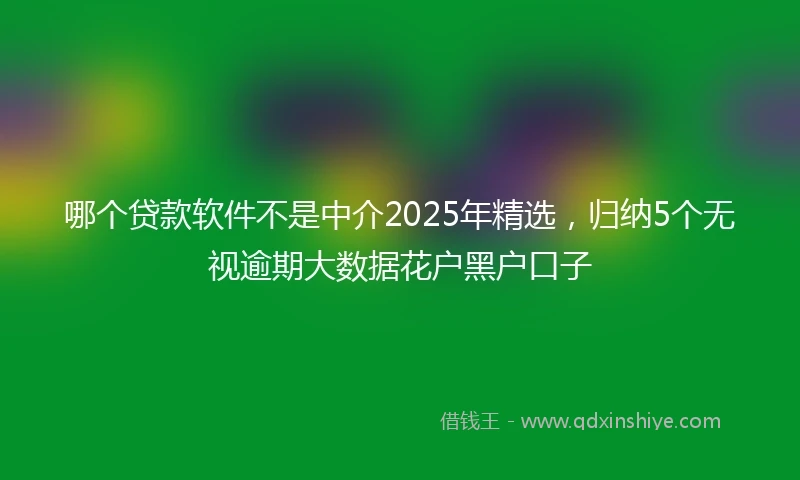 哪个贷款软件不是中介2025年精选,归纳5个无视逾期大数据花户黑户口子