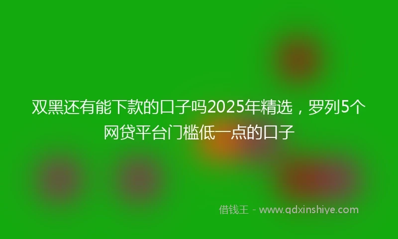 双黑还有能下款的口子吗2025年精选，罗列5个网贷平台门槛低一点的口子