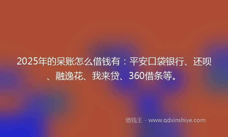 2025年的呆账怎么借钱有：平安口袋银行、还呗、融逸花、我来贷、360借条等。