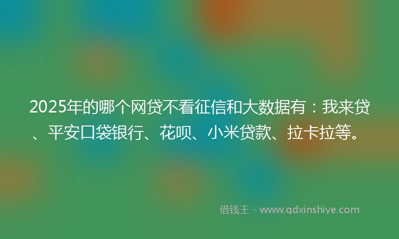 2025年的哪个网贷不看征信和大数据有：我来贷、平安口袋银行、花呗、小米贷款、拉卡拉等。