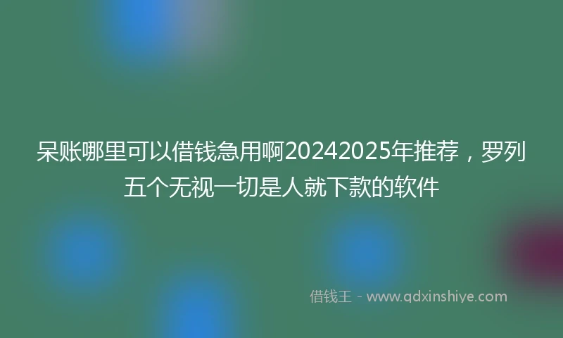 呆账哪里可以借钱急用啊20242025年推荐，罗列五个无视一切是人就下款的软件