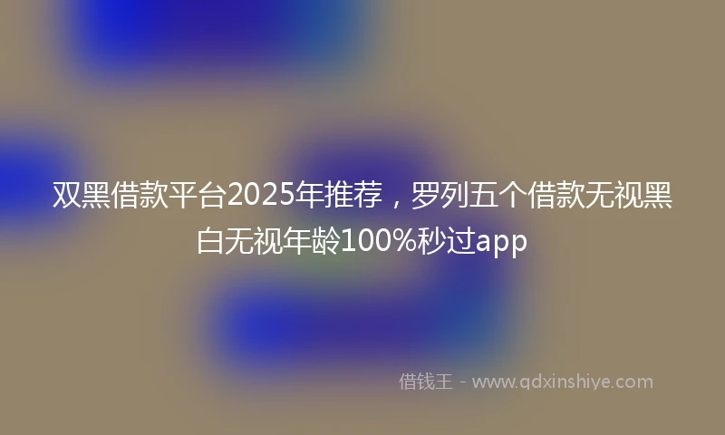 双黑借款平台2025年推荐，罗列五个借款无视黑白无视年龄100%秒过app