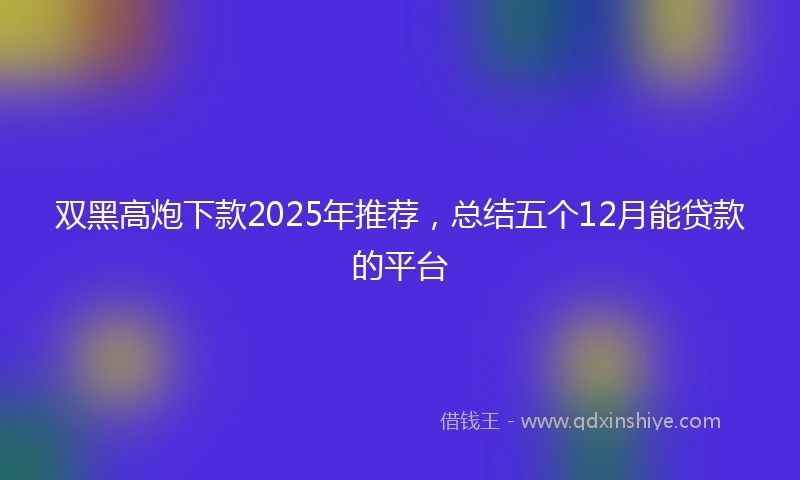 双黑高炮下款2025年推荐，总结五个12月能贷款的平台
