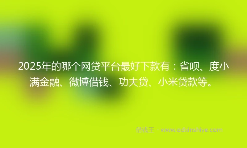 2025年的哪个网贷平台最好下款有：省呗、度小满金融、微博借钱、功夫贷、小米贷款等。