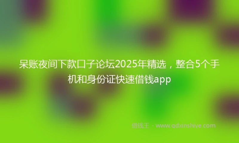 呆账夜间下款口子论坛2025年精选，整合5个手机和身份证快速借钱app