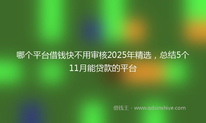 哪个平台借钱快不用审核2025年精选，总结5个11月能贷款的平台