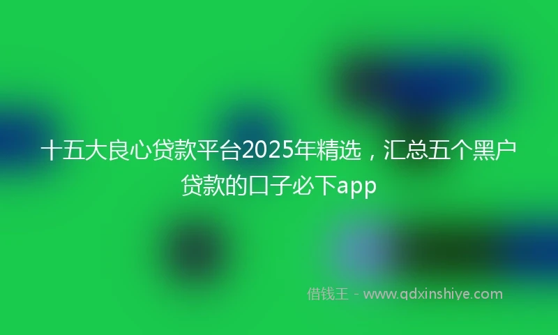 十五大良心贷款平台2025年精选，汇总五个黑户贷款的口子必下app