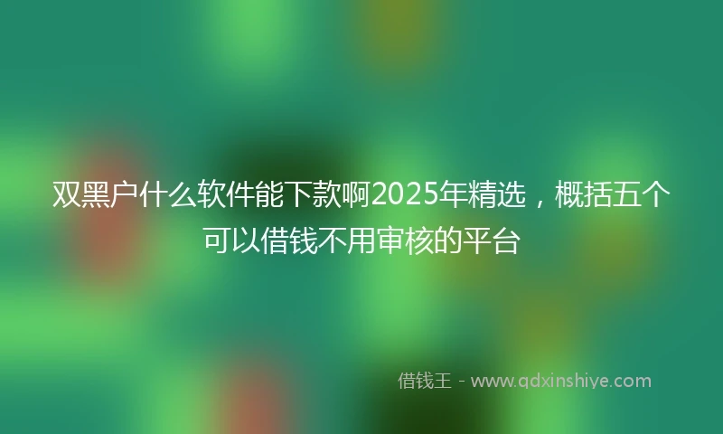 双黑户什么软件能下款啊2025年精选,概括五个可以借钱不用审核的平台