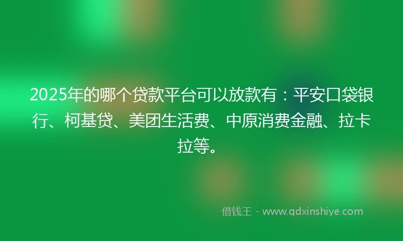 2025年的哪个贷款平台可以放款有：平安口袋银行、柯基贷、美团生活费、中原消费金融、拉卡拉等。