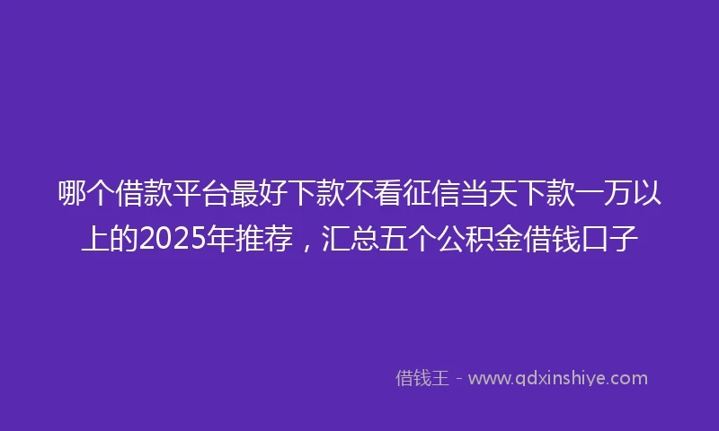 哪个借款平台最好下款不看征信当天下款一万以上的2025年推荐，汇总五个公积金借钱口子