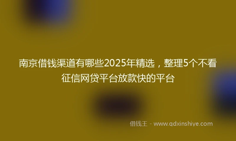 南京借钱渠道有哪些2025年精选，整理5个不看征信网贷平台放款快的平台