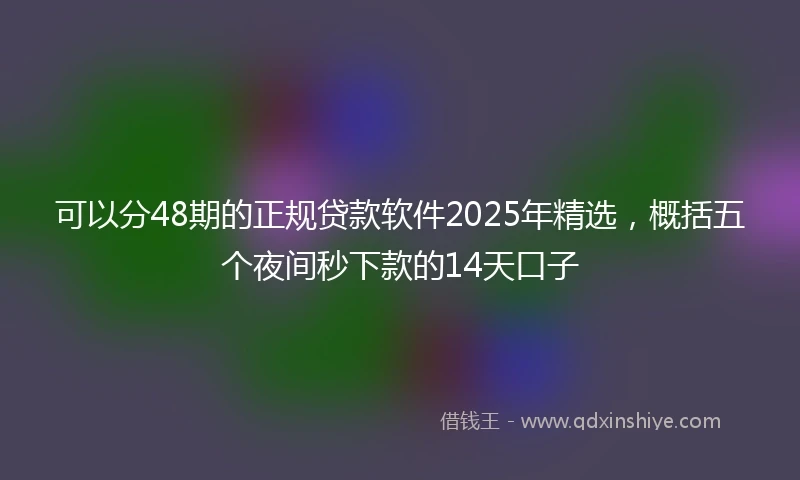 可以分48期的正规贷款软件2025年精选，概括五个夜间秒下款的14天口子