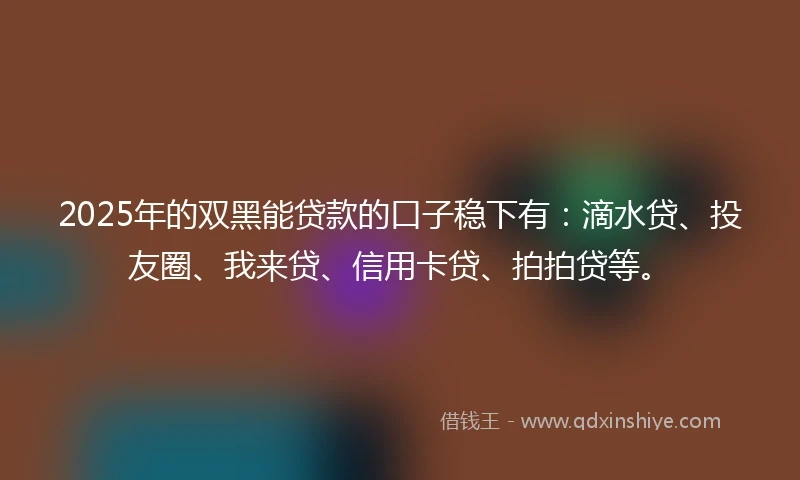 2025年的双黑能贷款的口子稳下有：滴水贷、投友圈、我来贷、信用卡贷、拍拍贷等。