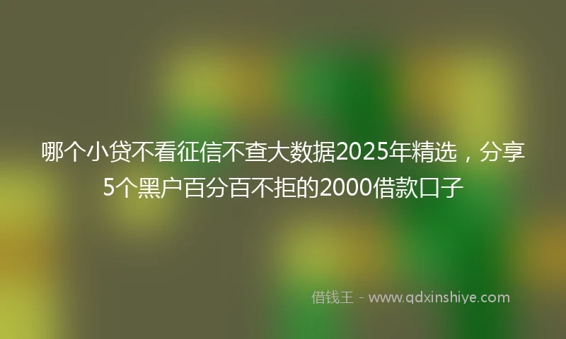哪个小贷不看征信不查大数据2025年精选，分享5个黑户百分百不拒的2000借款口子