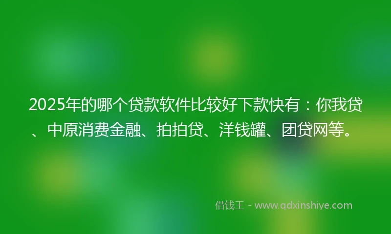 2025年的哪个贷款软件比较好下款快有：你我贷、中原消费金融、拍拍贷、洋钱罐、团贷网等。