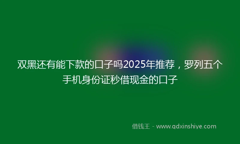 双黑还有能下款的口子吗2025年推荐，罗列五个手机身份证秒借现金的口子