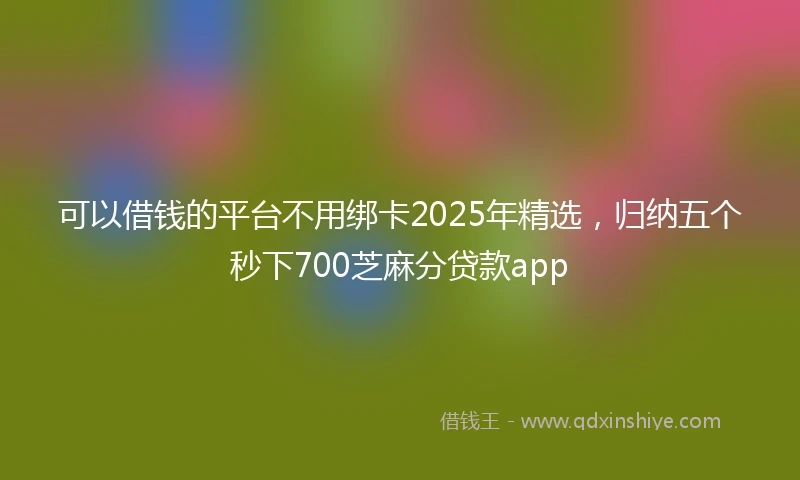 可以借钱的平台不用绑卡2025年精选，归纳五个秒下700芝麻分贷款app