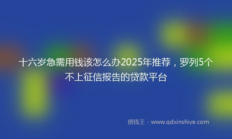 十六岁急需用钱该怎么办2025年推荐，罗列5个不上征信报告的贷款平台