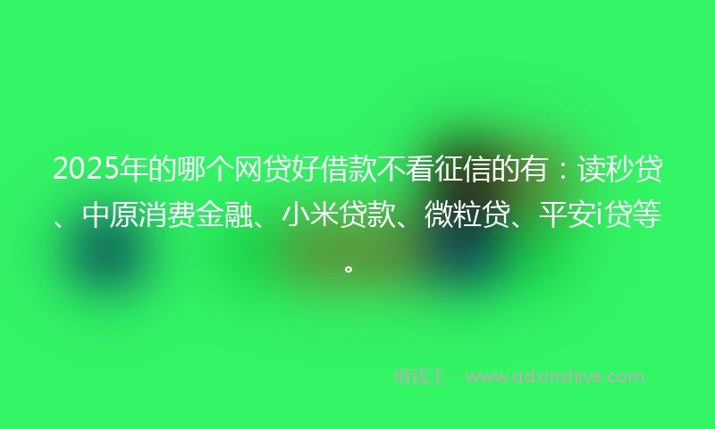 2025年的哪个网贷好借款不看征信的有：读秒贷、中原消费金融、小米贷款、微粒贷、平安i贷等。