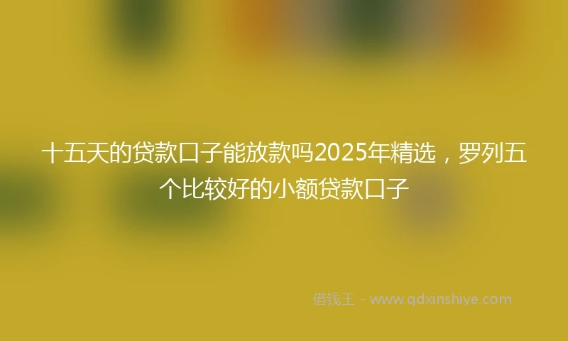十五天的贷款口子能放款吗2025年精选，罗列五个比较好的小额贷款口子