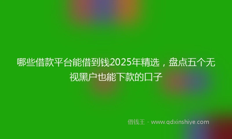 哪些借款平台能借到钱2025年精选,盘点五个无视黑户也能下款的口子