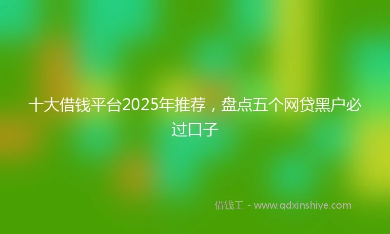 十大借钱平台2025年推荐，盘点五个网贷黑户必过口子