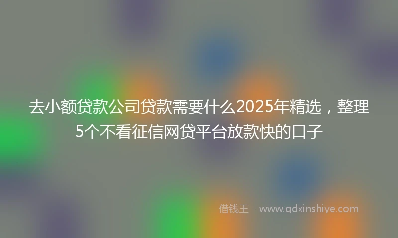 去小额贷款公司贷款需要什么2025年精选,整理5个不看征信网贷平台放款快的口子
