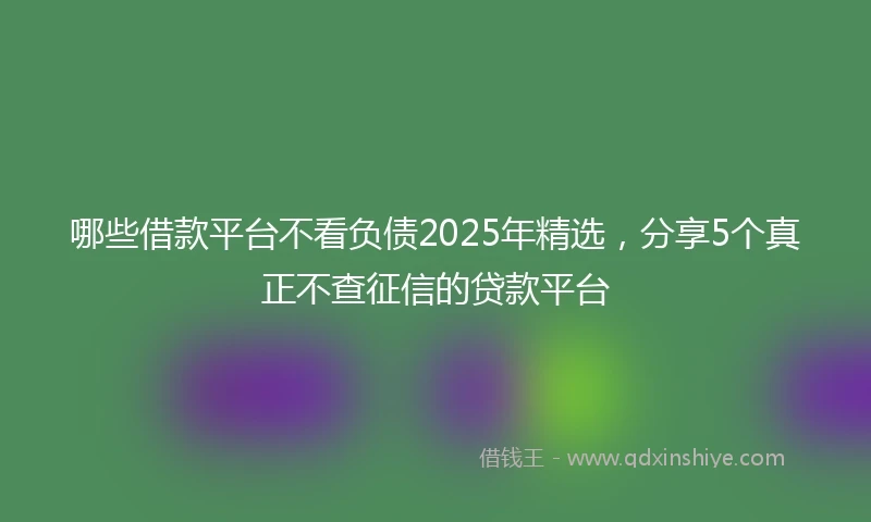 哪些借款平台不看负债2025年精选，分享5个真正不查征信的贷款平台