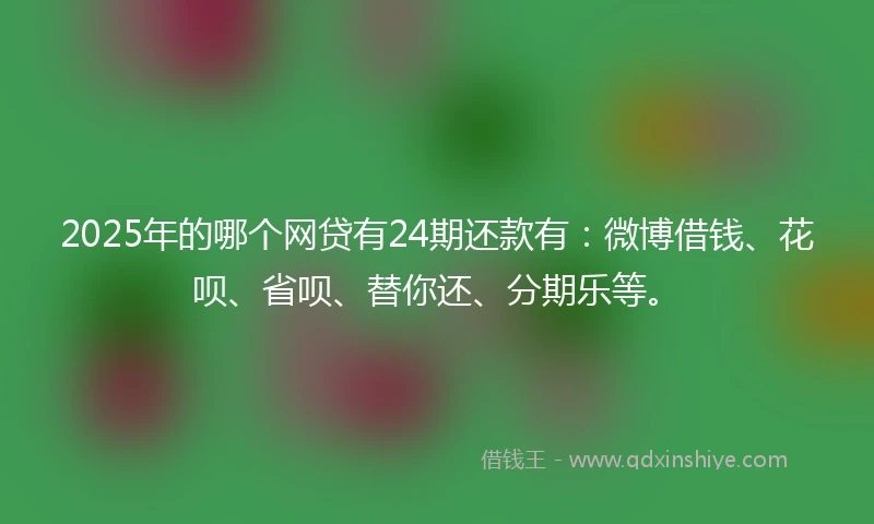 2025年的哪个网贷有24期还款有：微博借钱、花呗、省呗、替你还、分期乐等。