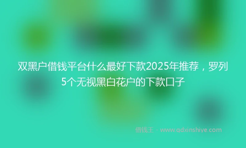 双黑户借钱平台什么最好下款2025年推荐，罗列5个无视黑白花户的下款口子