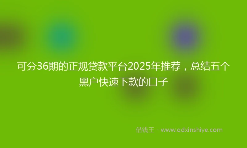 可分36期的正规贷款平台2025年推荐，总结五个黑户快速下款的口子