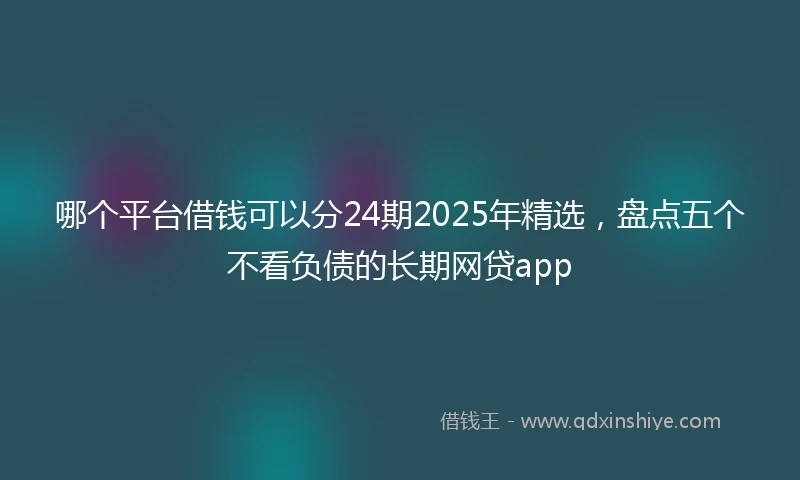 哪个平台借钱可以分24期2025年精选,盘点五个不看负债的长期网贷app