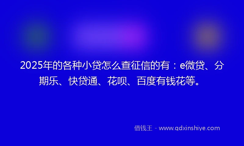 2025年的各种小贷怎么查征信的有：e微贷、分期乐、快贷通、花呗、百度有钱花等。