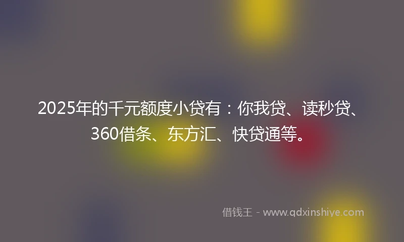 2025年的千元额度小贷有：你我贷、读秒贷、360借条、东方汇、快贷通等。