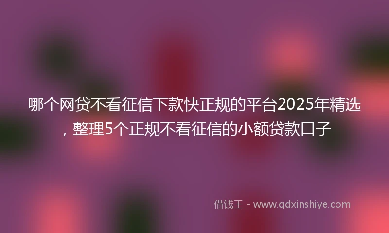 哪个网贷不看征信下款快正规的平台2025年精选，整理5个正规不看征信的小额贷款口子