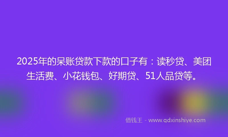 2025年的呆账贷款下款的口子有：读秒贷、美团生活费、小花钱包、好期贷、51人品贷等。