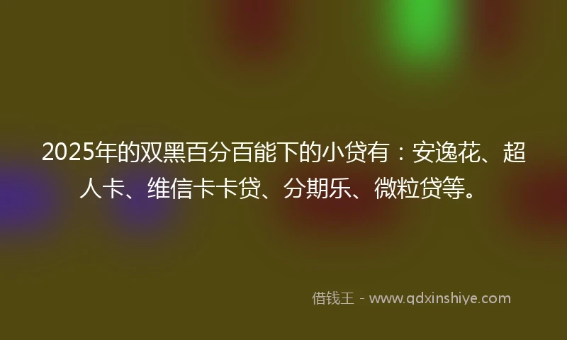 2025年的双黑百分百能下的小贷有：安逸花、超人卡、维信卡卡贷、分期乐、微粒贷等。