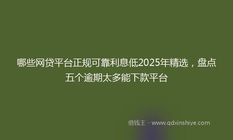 哪些网贷平台正规可靠利息低2025年精选，盘点五个逾期太多能下款平台