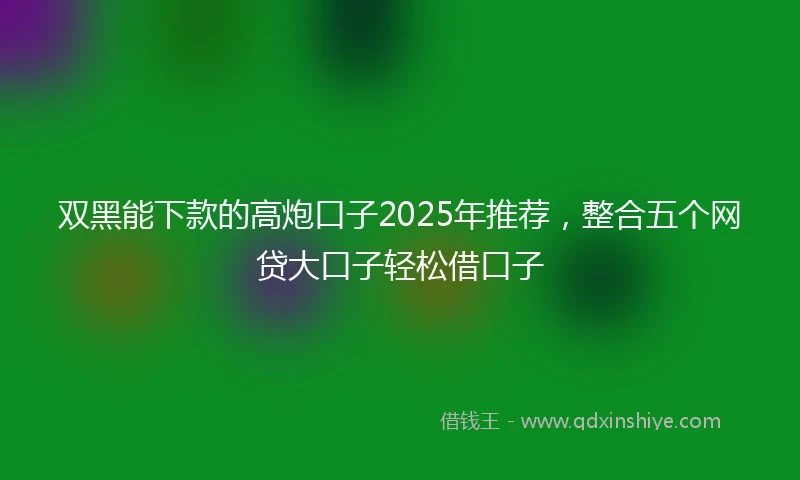 双黑能下款的高炮口子2025年推荐，整合五个网贷大口子轻松借口子