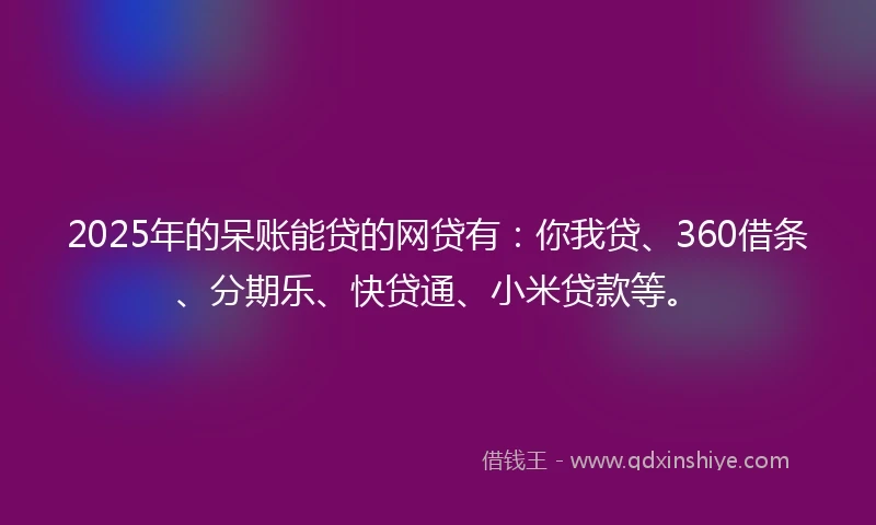 2025年的呆账能贷的网贷有：你我贷、360借条、分期乐、快贷通、小米贷款等。