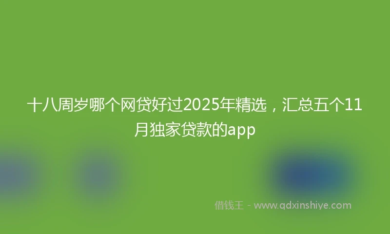 十八周岁哪个网贷好过2025年精选，汇总五个11月独家贷款的app