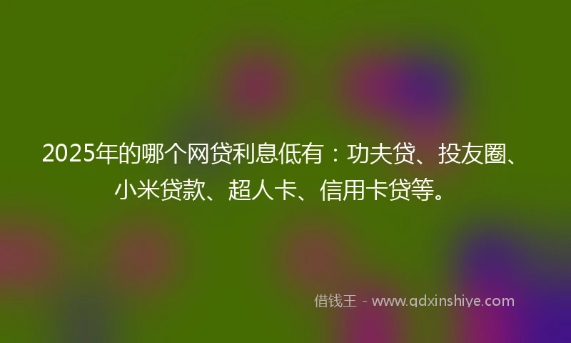2025年的哪个网贷利息低有：功夫贷、投友圈、小米贷款、超人卡、信用卡贷等。