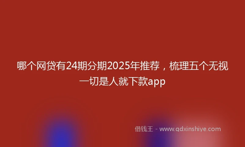 哪个网贷有24期分期2025年推荐，梳理五个无视一切是人就下款app