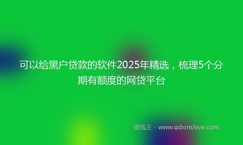 可以给黑户贷款的软件2025年精选，梳理5个分期有额度的网贷平台